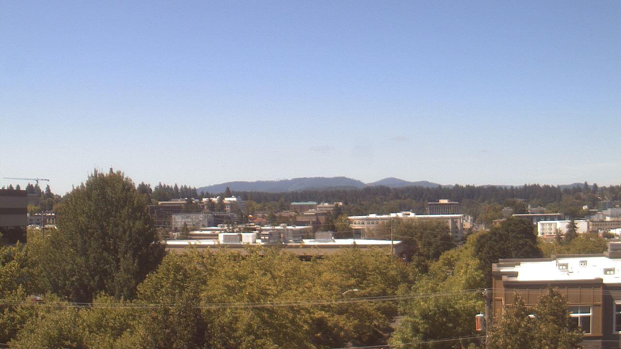 Olympia webcam