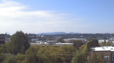 Thurston County today