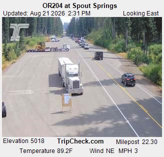 Traffic Cam Tollgate: ORE204 at Spout Springs