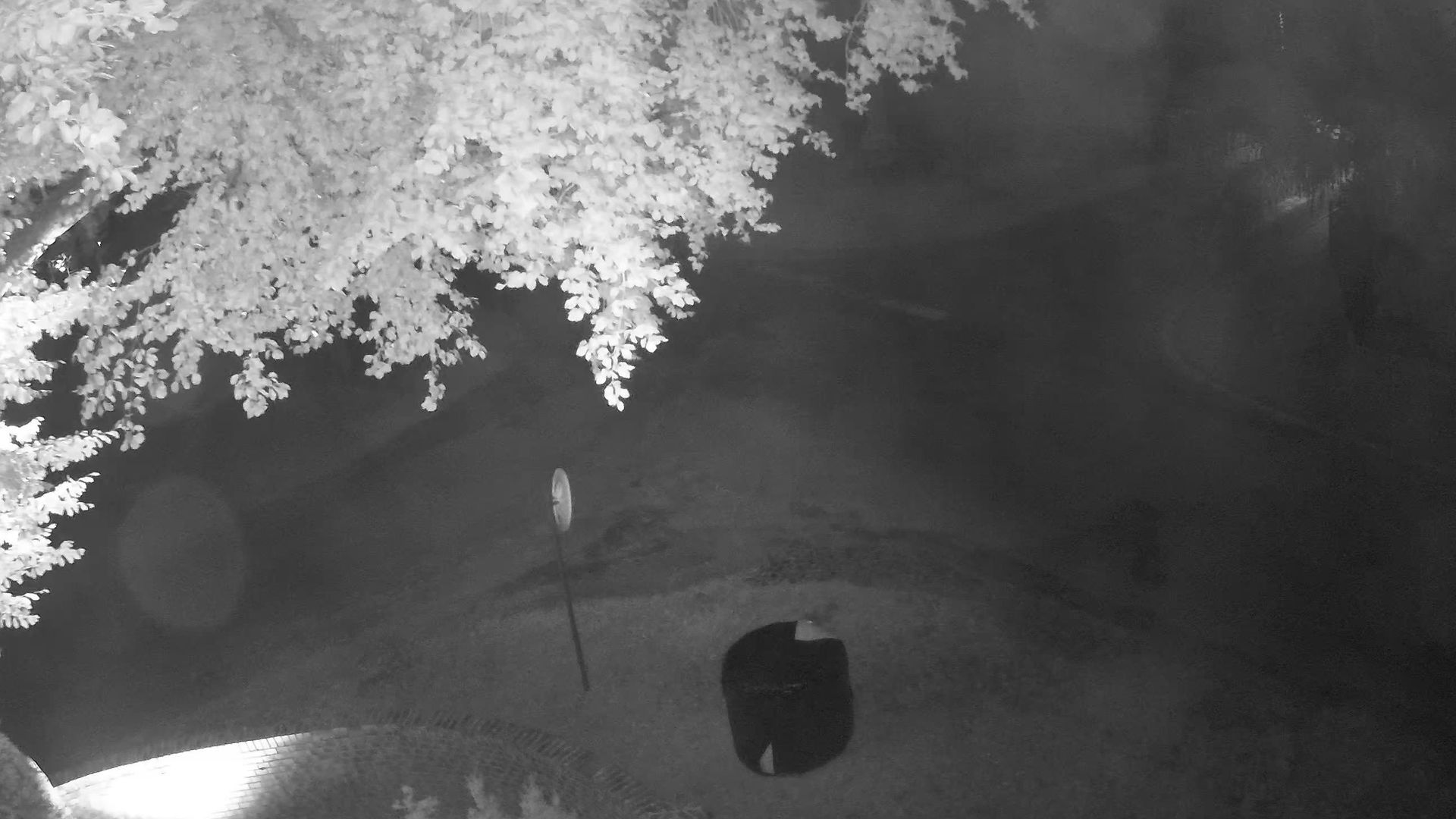Traffic Cam Niewierz › South-West: Kawki