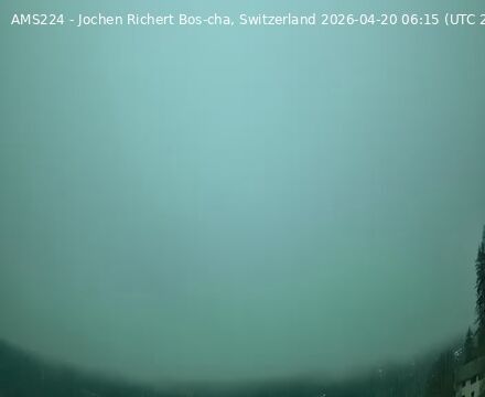 Scuol › Südosten: Bos-cha