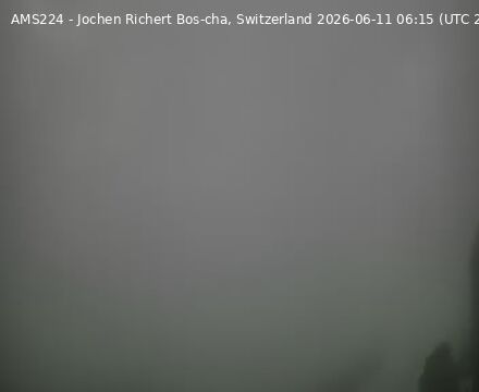 Scuol › Südosten: Bos-cha