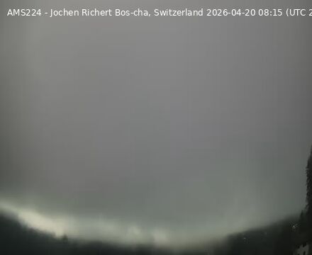 Scuol › Südosten: Bos-cha