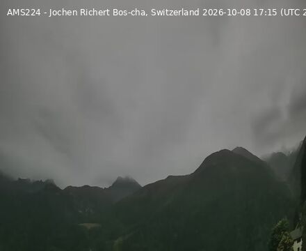 Scuol › Südosten: Bos-cha