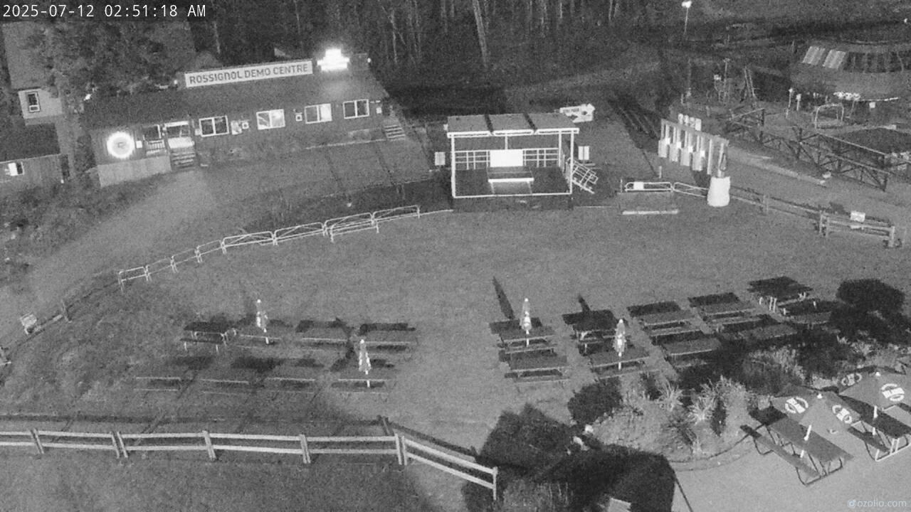 Area C forest Webcam