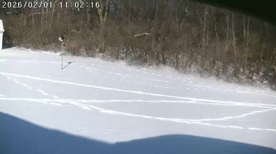 Imagen de webcam diurna Goshen