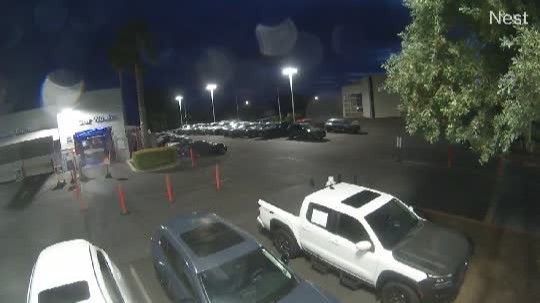 Elk Grove during daytime