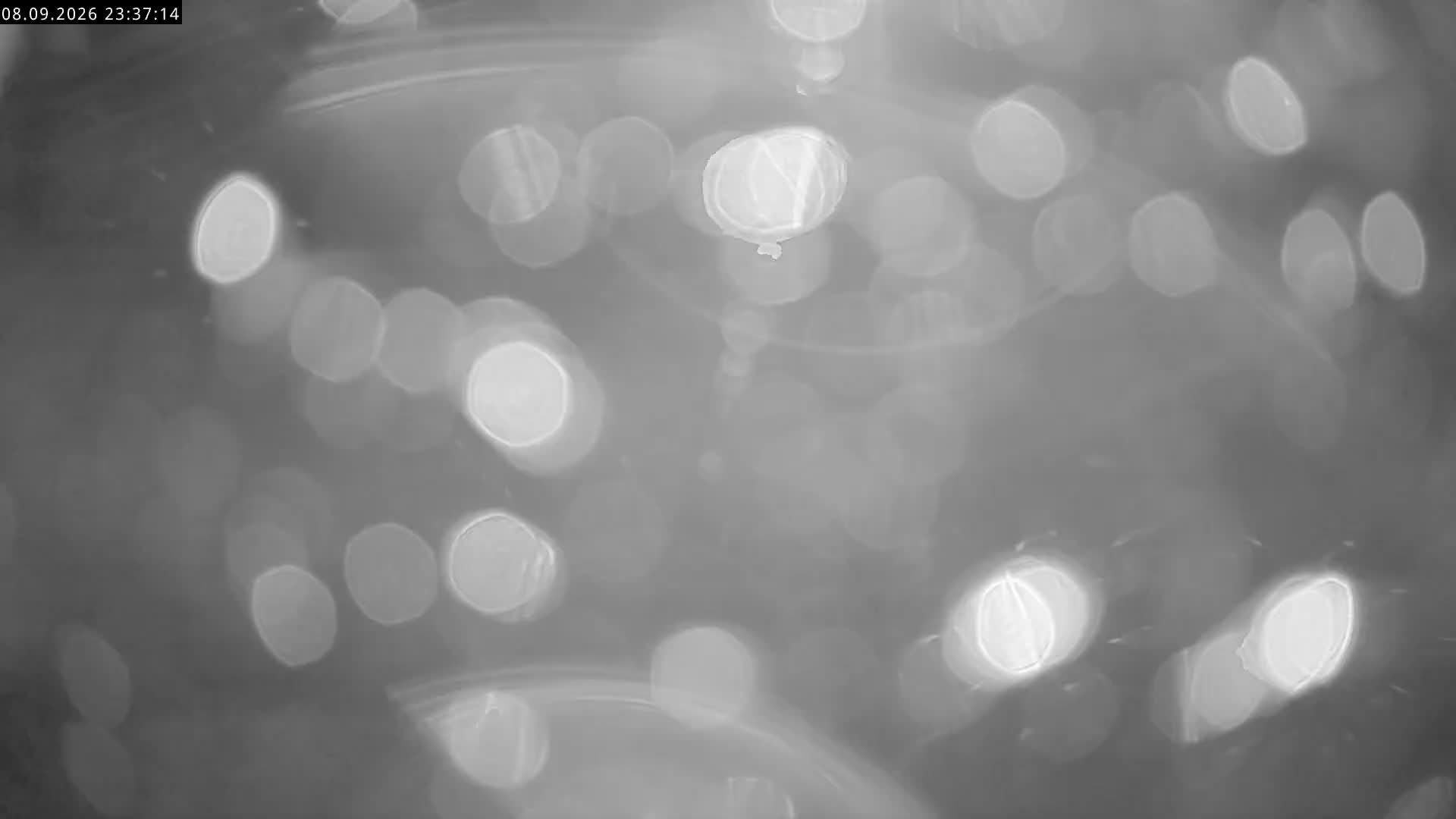 Saleinaz › Südwesten: Cabane de Saleinaz CAS - Aiguille d'Argentière - Col du Chardonnet