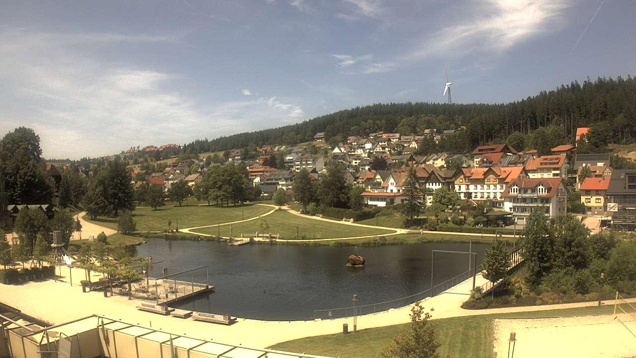 Schwarzwald: City to Nature Webcam