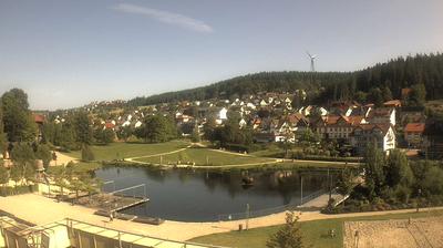 Schwarzwald: City to Nature