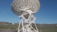 Monse: Brewster - Observatory - Current