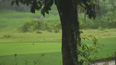Palmetto Bluff: Scenic