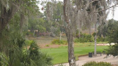 Bluffton Daytime Webcam Image