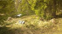 Messlingen › North-East: Mässlingen - Natur och snödjup