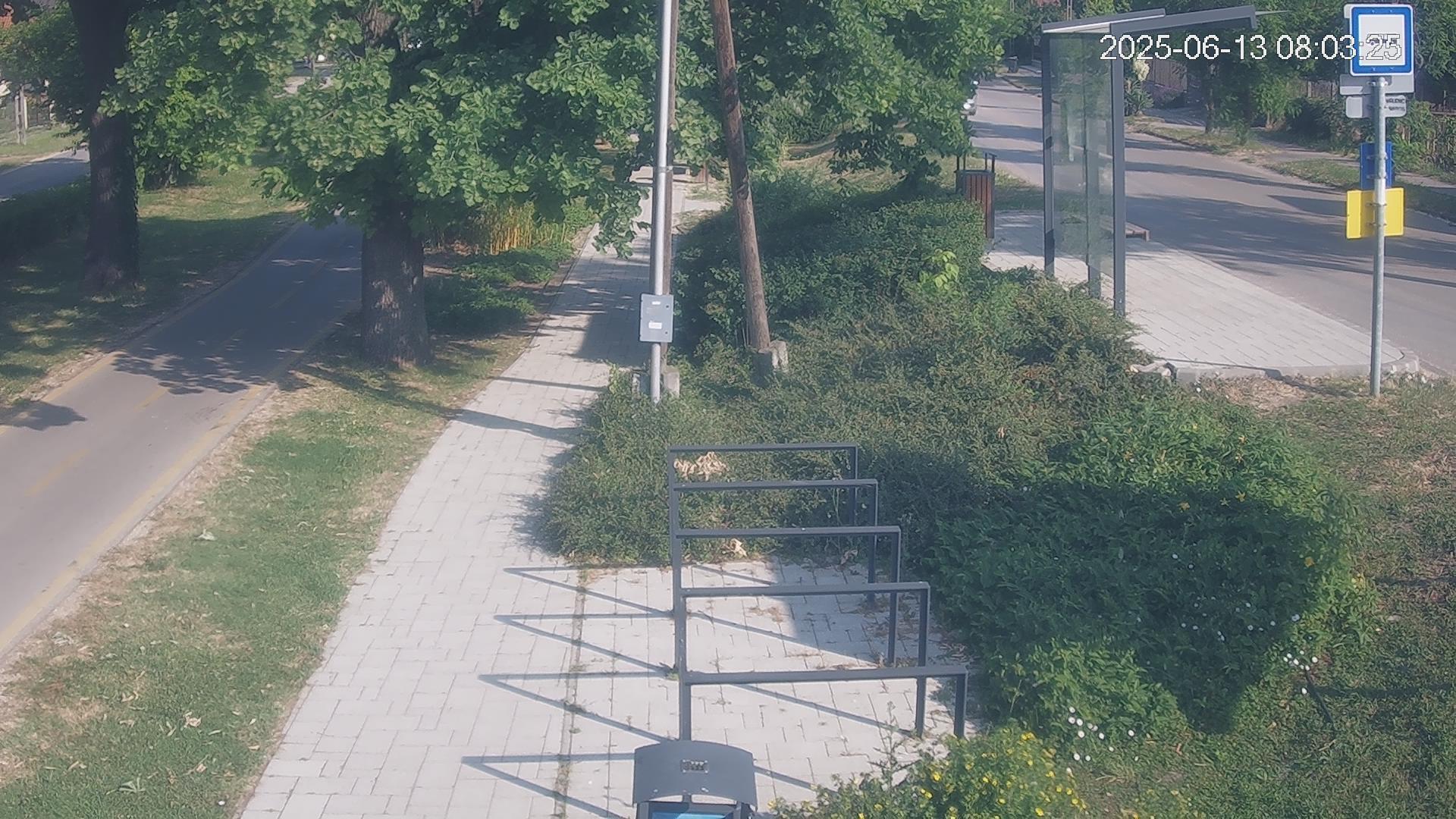 West Park and Square Webcam