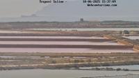 Trapani › North-West: Saline