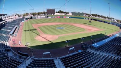 Imagen de webcam diurna Surprise