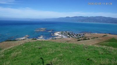 Kaikoura Daytime Webcam Image
