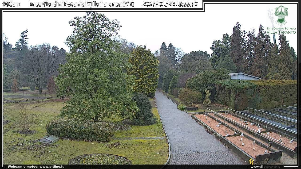 Traffic Cam Verbania