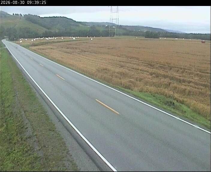 Traffic Cam Lefstad: F65 Bye (Fannrem)