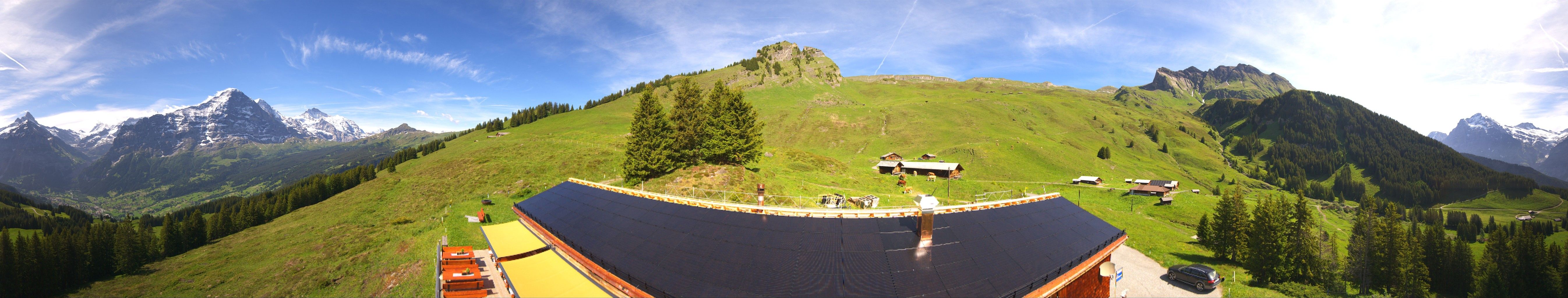 Grindelwald: Tschuggen - Eiger - Wetterhorn - Jungfrau Region - Mönch - Schreckhorn - Gross Fiescherhorn - Silberhorn