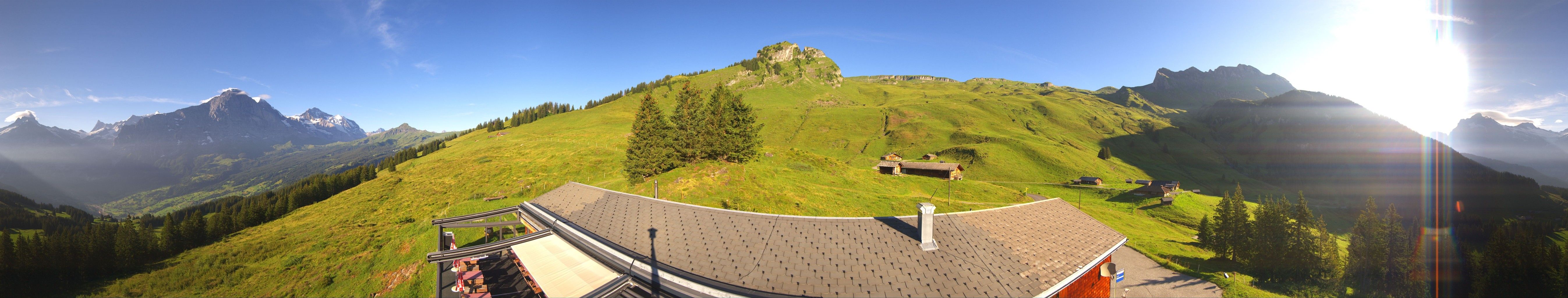 Grindelwald: Tschuggen - Eiger - Wetterhorn - Jungfrau Region - Mönch - Schreckhorn - Gross Fiescherhorn - Silberhorn