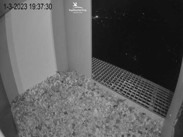 Traffic Cam Nijmegen: Falcon Cam 3