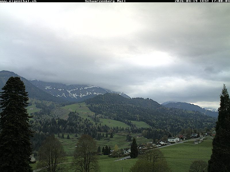 Schwarzenberg: Furtig: Schwarzenberg Matt