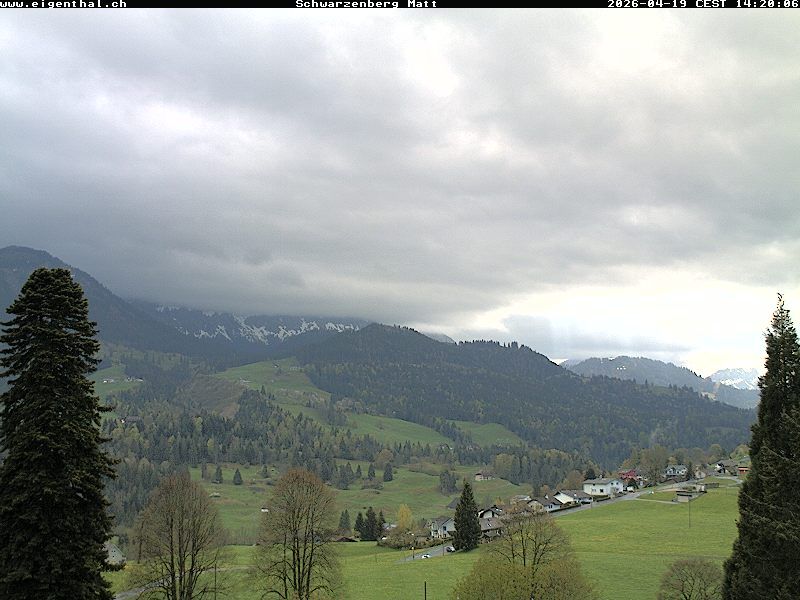 Schwarzenberg: Furtig: Schwarzenberg Matt