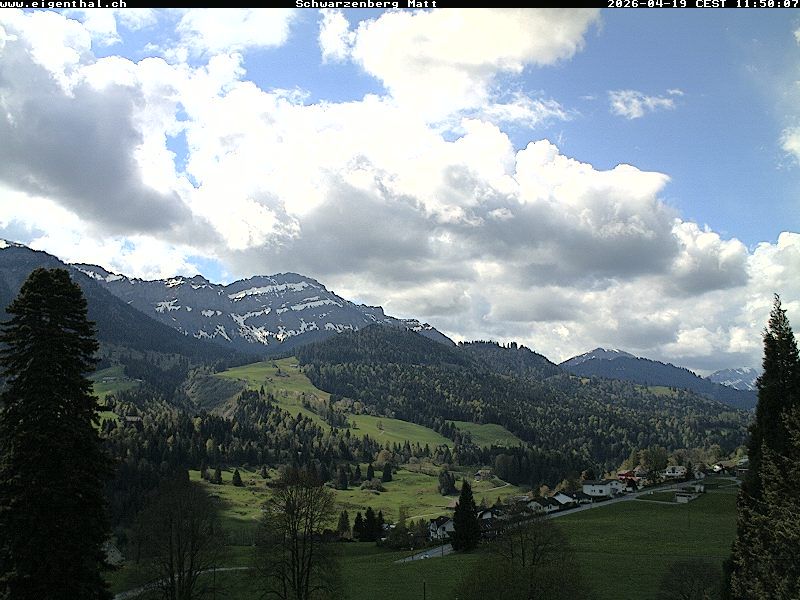 Schwarzenberg: Furtig: Schwarzenberg Matt