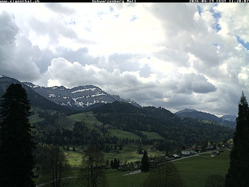 Schwarzenberg: Furtig: Schwarzenberg Matt