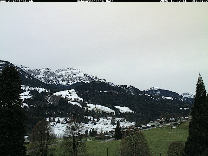 Furtig: Schwarzenberg Matt