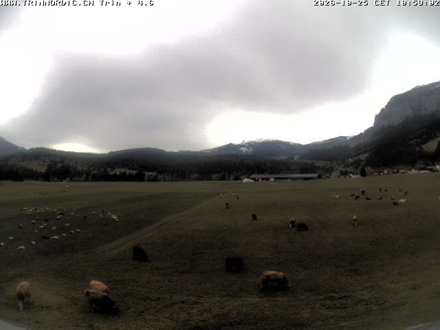 Trin Mulin › Westen: Langlauf Trin Flims Bargis Sagogn - Graubünden - Pinut