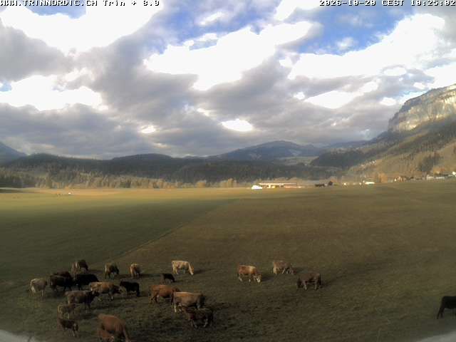 Trin Mulin › Westen: Langlauf Trin Flims Bargis Sagogn - Graubünden - Pinut