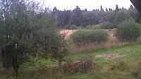 Waimes: Botrange - Walloon