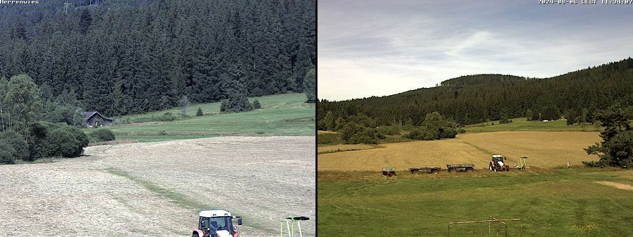 Traffic Cam Forbach › North-West: Langlauf-Center Herrenwies