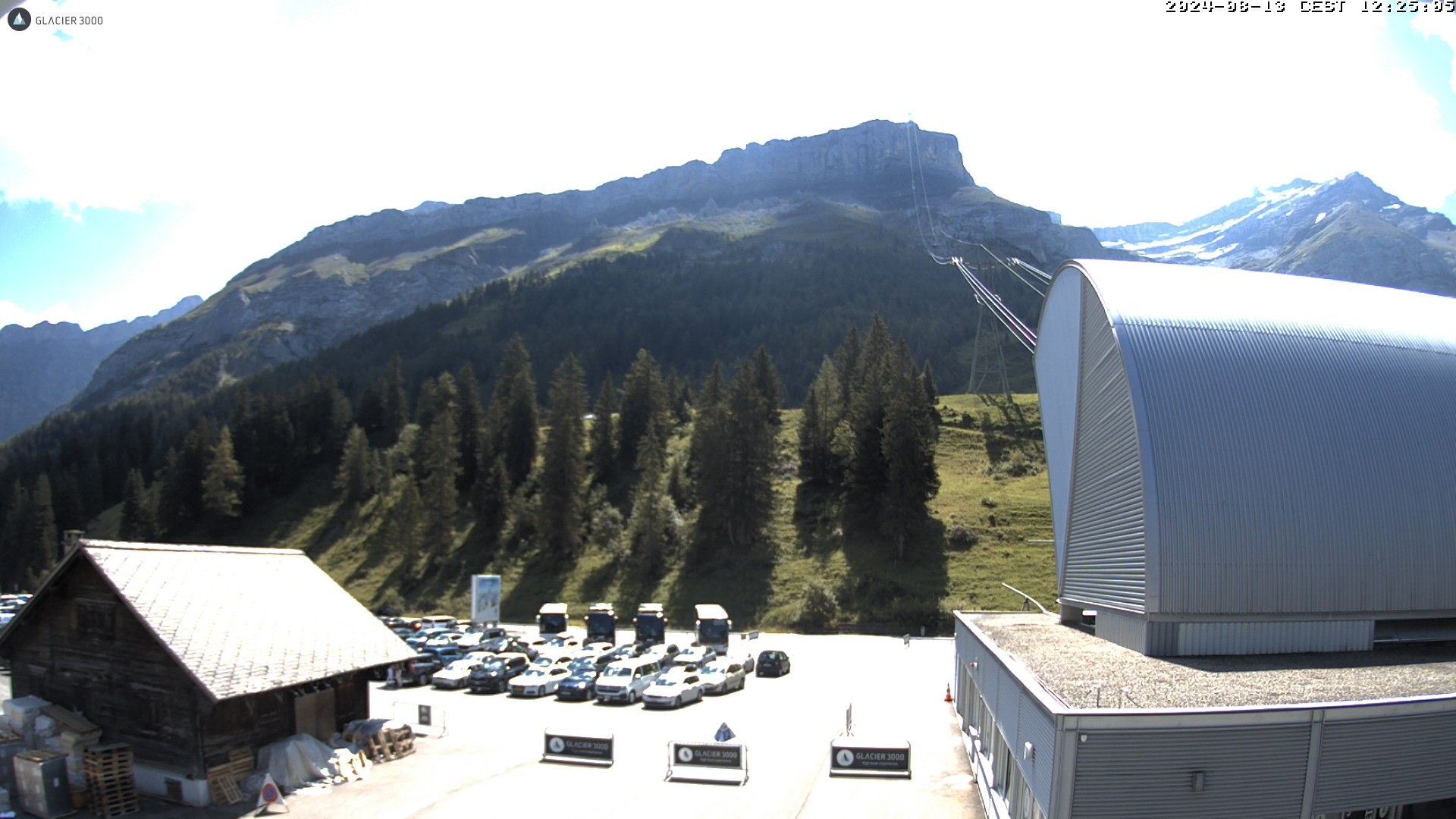 Ormont-Dessus › Süd: Col du Pillon