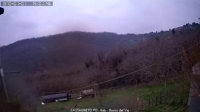 Preview delle webcam di Castagneto Po