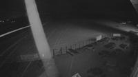 North Dorset › North: Compton Abbas Airfield