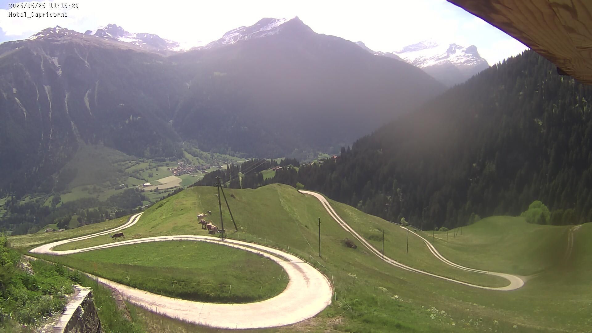 Muntogna da Schons: Casti-Wergenstein