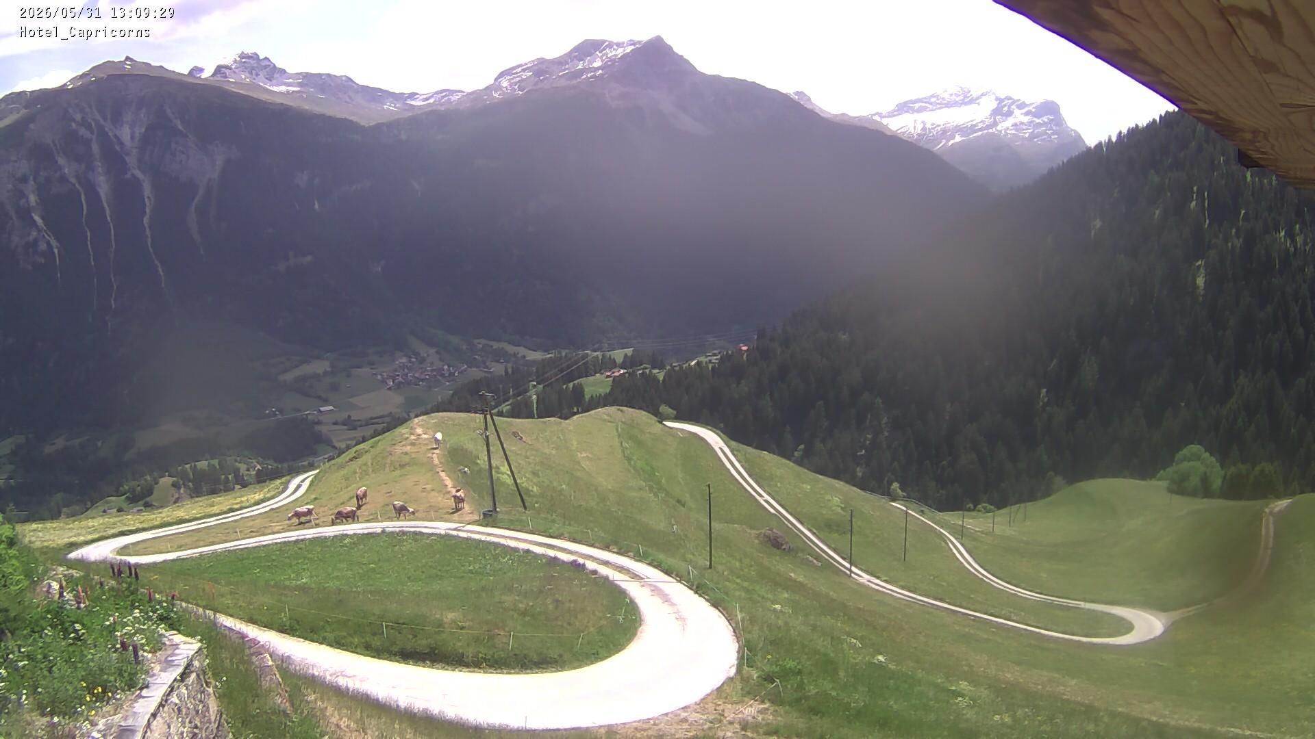 Muntogna da Schons: Casti-Wergenstein