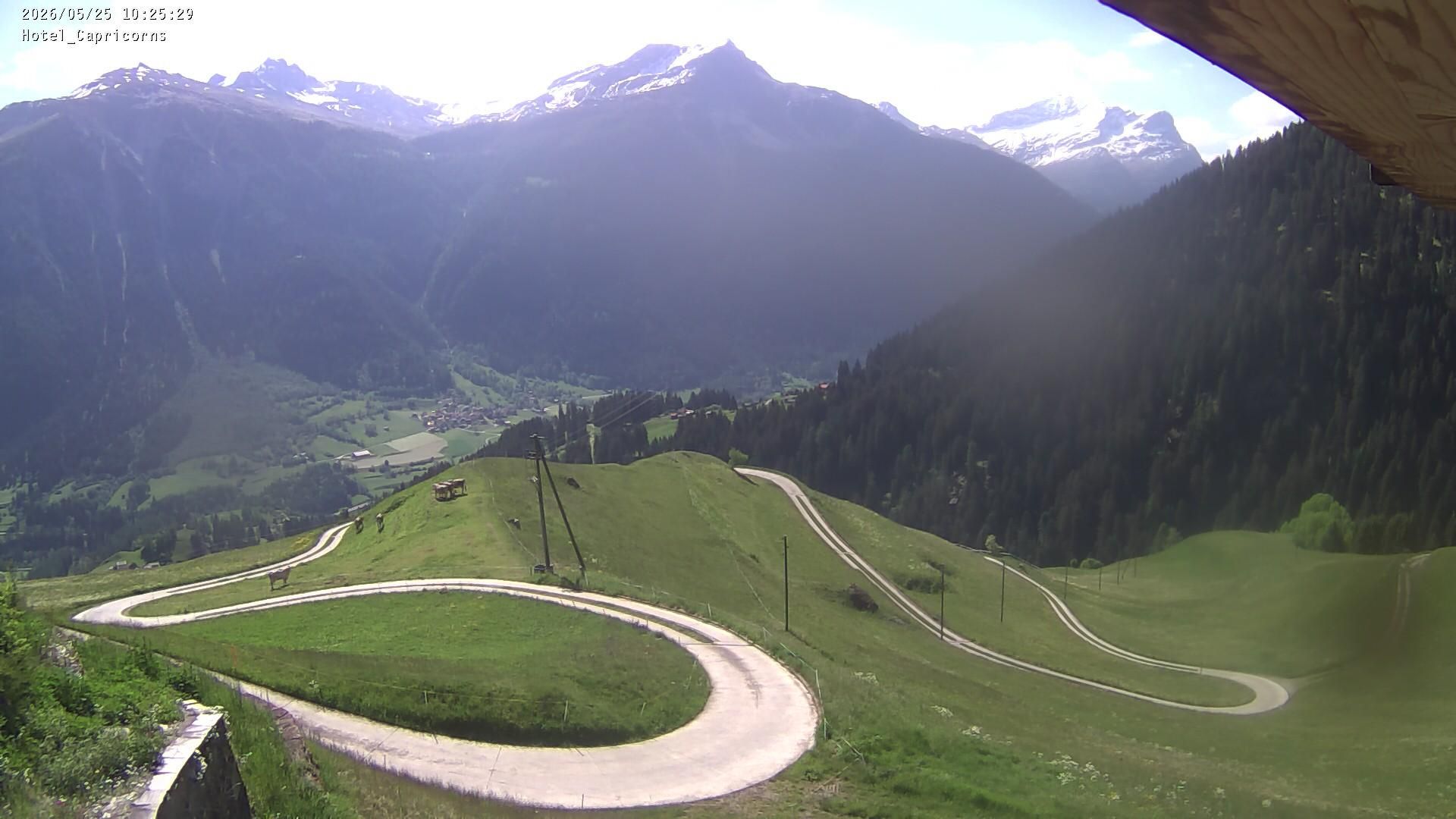 Muntogna da Schons: Casti-Wergenstein