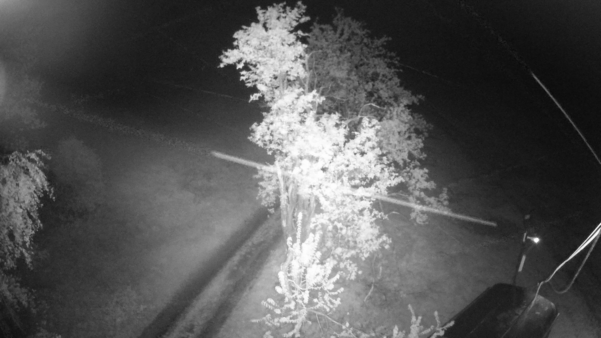 Traffic Cam Polevsko