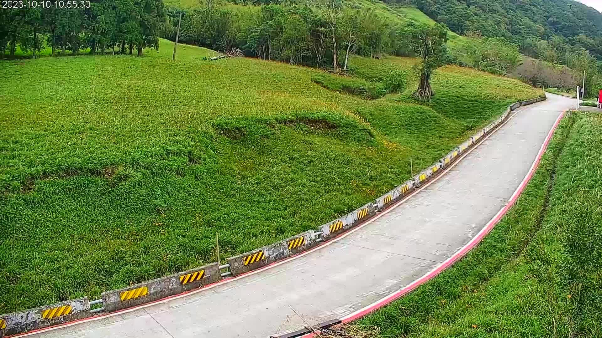 Traffic Cam Fuli