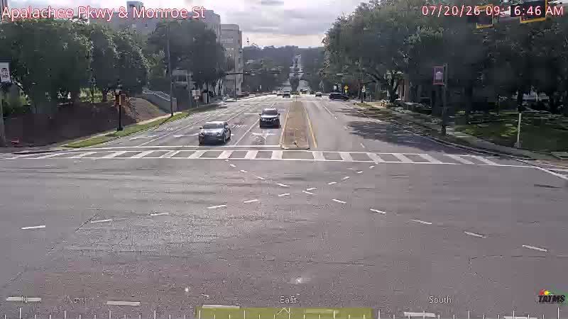 Tallahassee during daytime