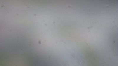 Вязовская волость › East: Московская область г.Монино проходная в военный городок