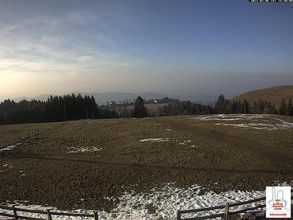 Küssnacht › Nordwesten: Cham - Sempachersee