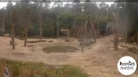 Amersfoort: Dierenpark