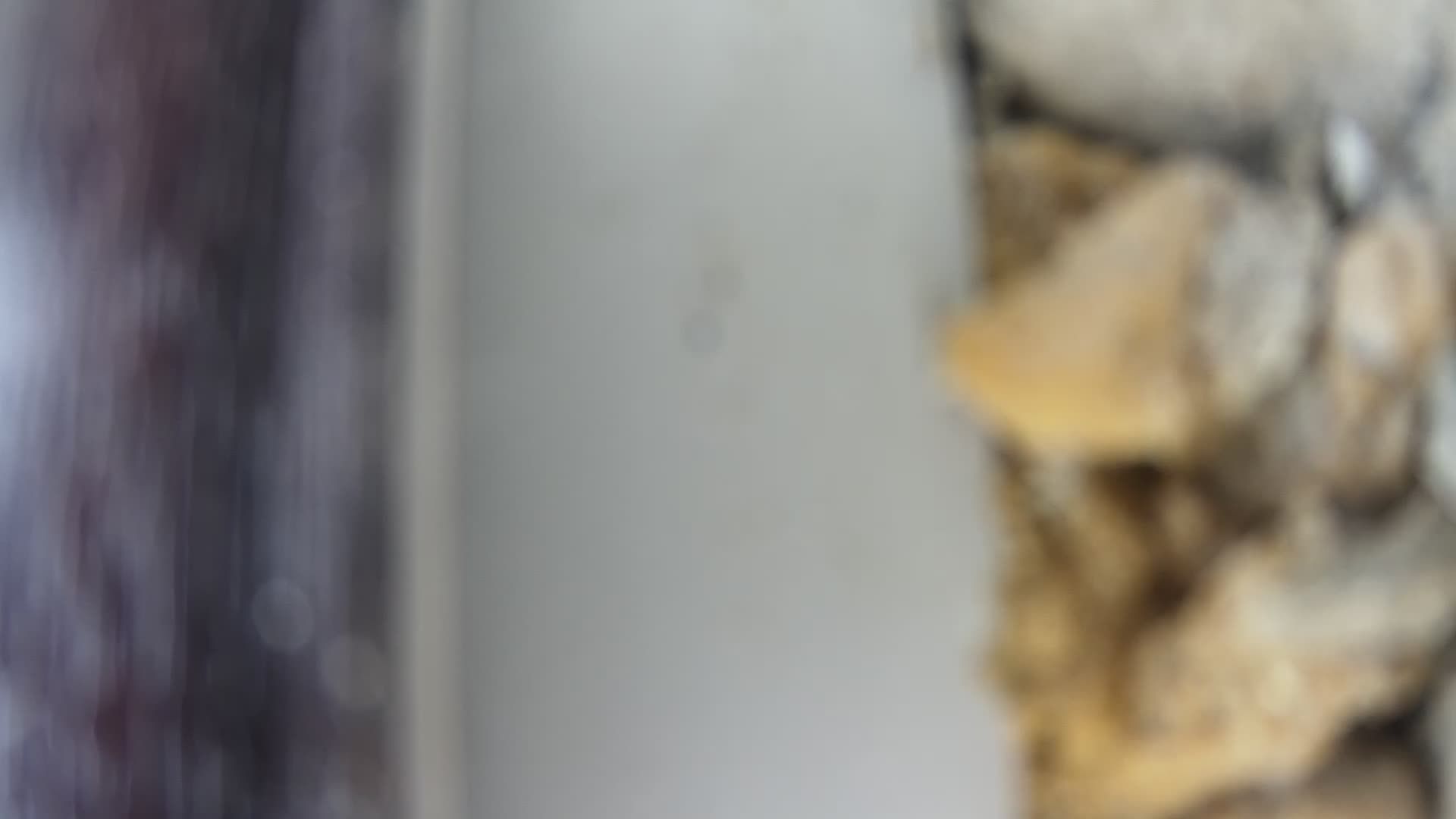 городское поселение Ахтубинск: Ахтубинск, Ленина, 1а