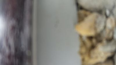 городское поселение Ахтубинск: Ахтубинск, Ленина, 1а